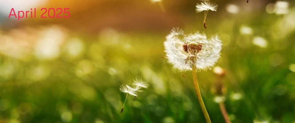 lente-april-2025-2