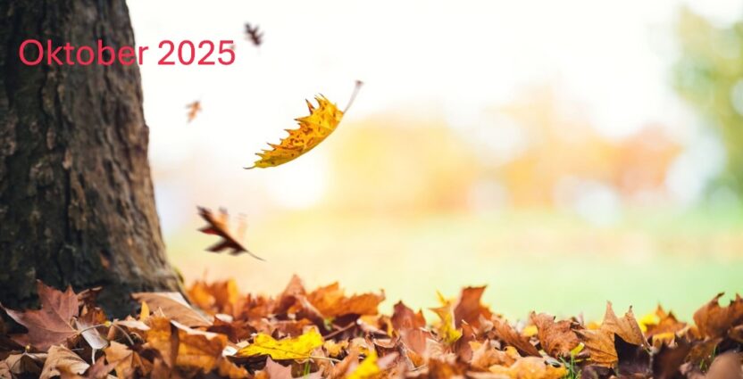 oktober-2025-3