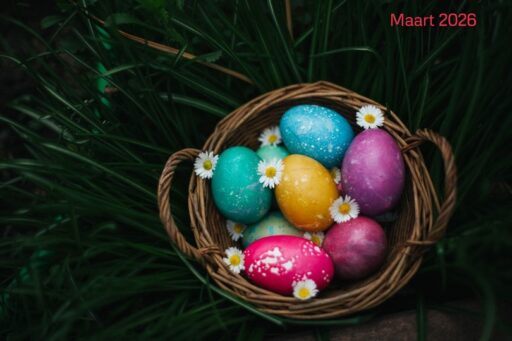 Afbeelding1 intro nieuwsbrief nov